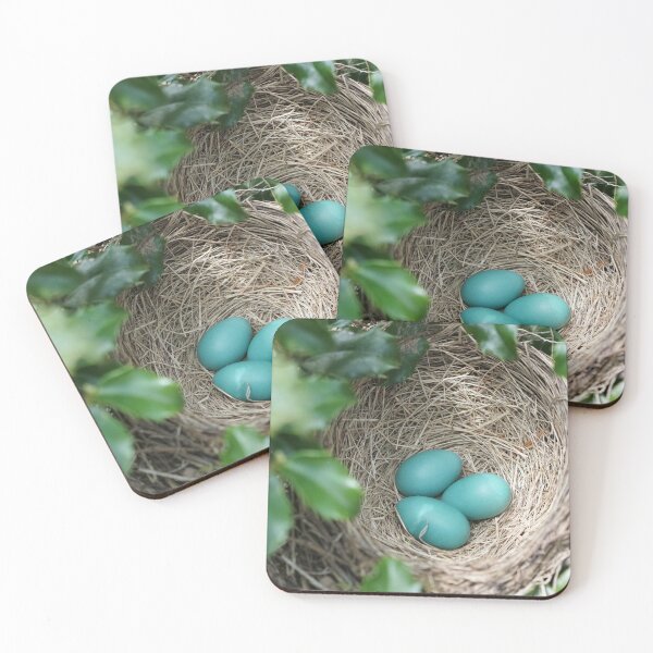 Item preview, robin eggs designed and sold by distracted.