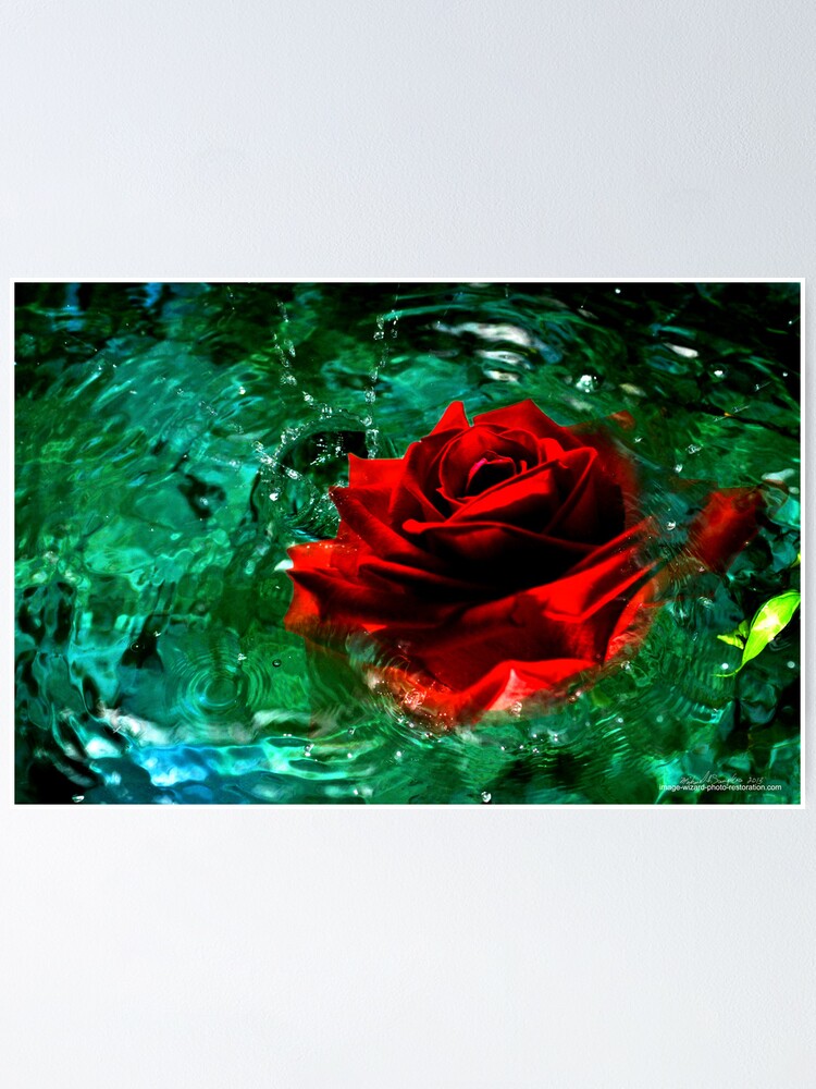 Thumbnail 1 of 3, Poster, Rosey Splash designed and sold by michaelasamples.