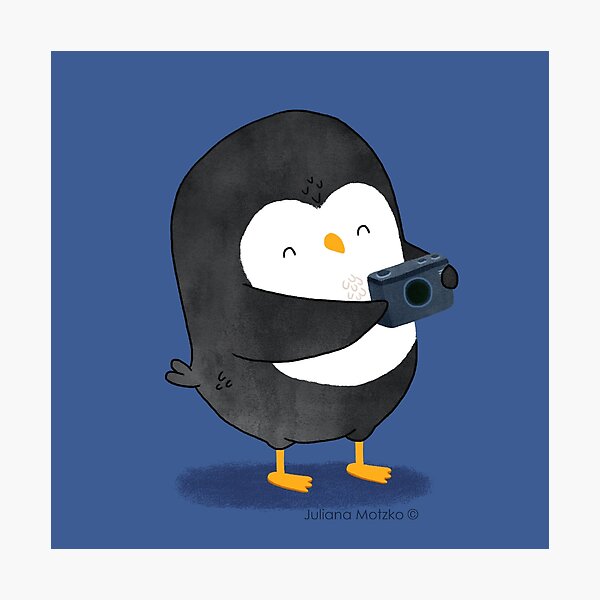 Photographer Penguin Photographic Print