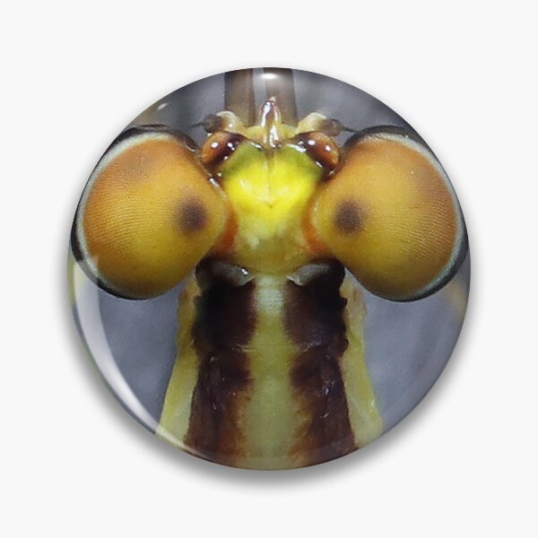 Item preview, Mayfly's Top Eyes designed and sold by mark-bugs-org.