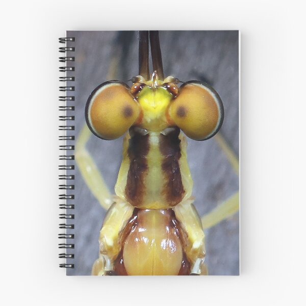 Item preview, Mayfly's Top Eyes designed and sold by mark-bugs-org.