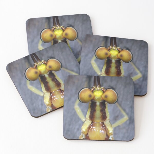 Item preview, Mayfly's Top Eyes designed and sold by mark-bugs-org.