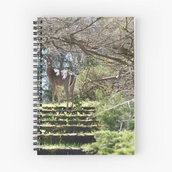 Item preview, white tailed deer designed and sold by distracted.