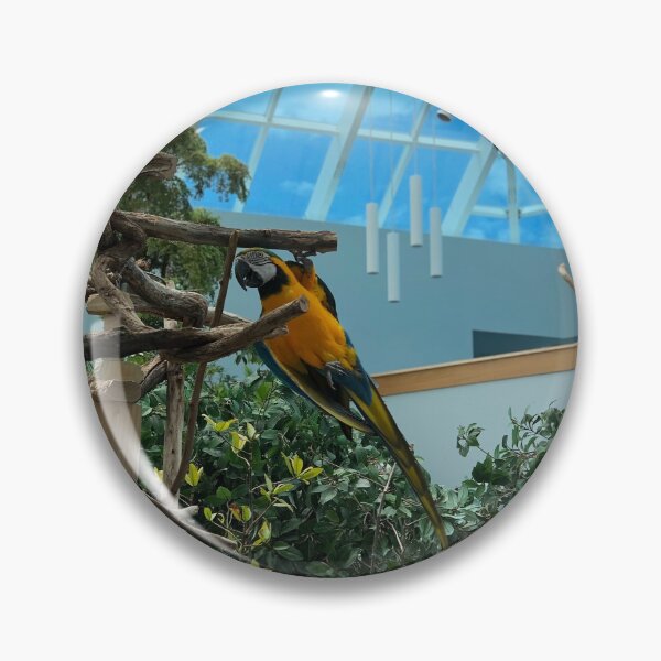 Item preview, Playful Parrot designed and sold by OdysseyOriginal.