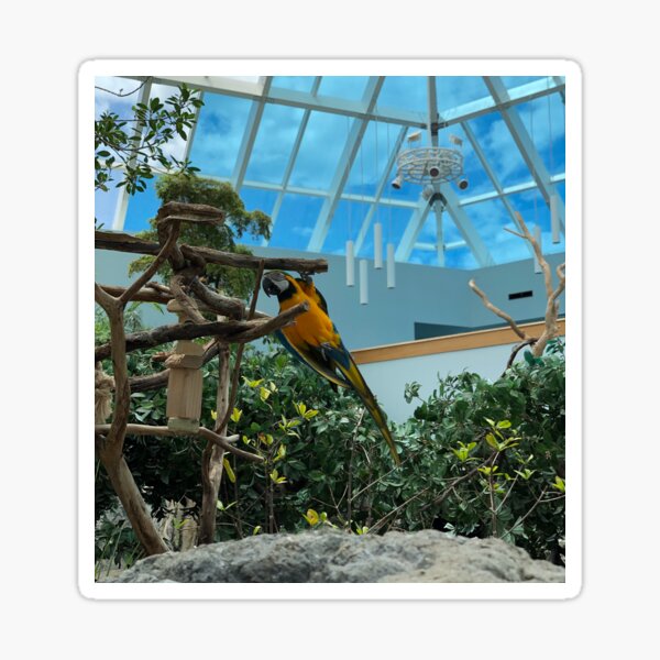 Item preview, Playful Parrot designed and sold by OdysseyOriginal.