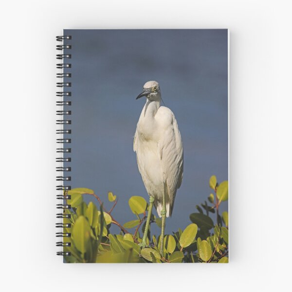 Item preview, Take One designed and sold by Michiale.