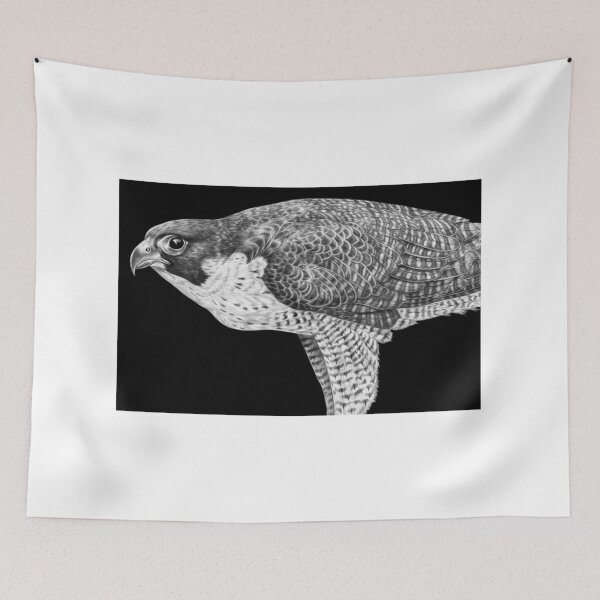 Item preview, Peregrine Falcon designed and sold by TimJeffsArt.