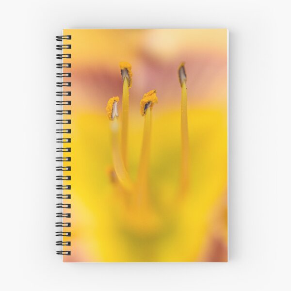 Item preview, Flower designed and sold by photoduque.