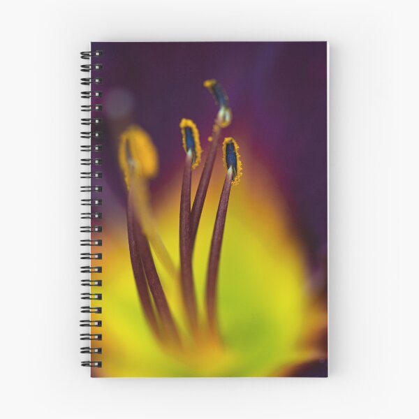 Item preview, Flower designed and sold by photoduque.