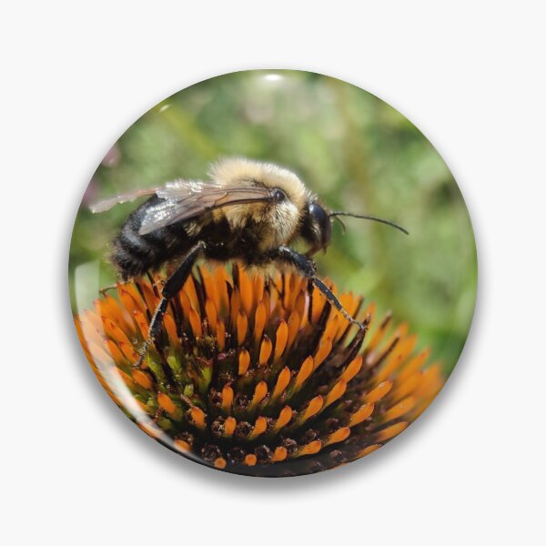 Item preview, Busy Bee On Flower Photo designed and sold by GrandmaApproved.