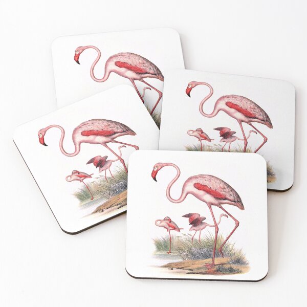 Item preview, Flamingo, biological illustration designed and sold by Blacklinesw9.