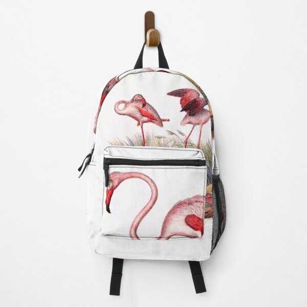 Item preview, Flamingo, biological illustration designed and sold by Blacklinesw9.