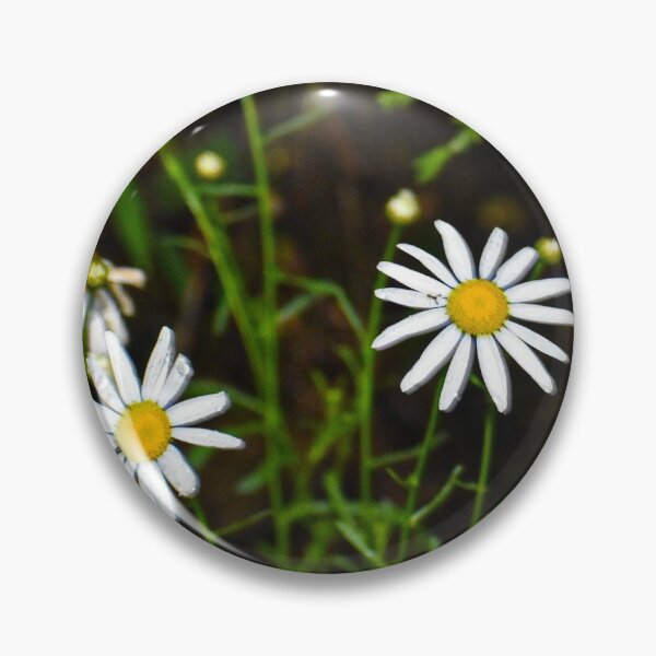 Item preview, Daisy designed and sold by sfranklund.