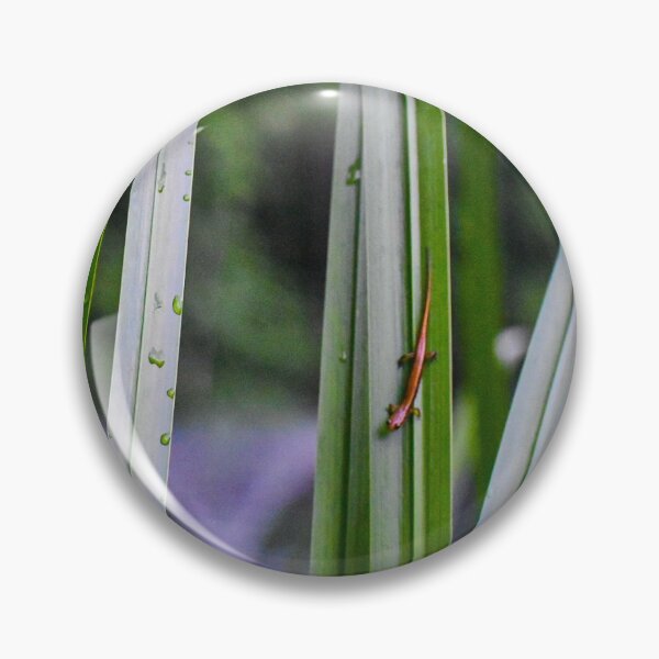 Item preview, Lizard designed and sold by sfranklund.