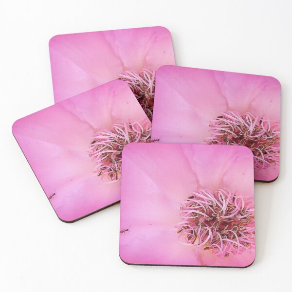 Item preview, Pink Stame designed and sold by Maria  Gonzalez.
