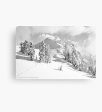 Snow Waves Canvas Print