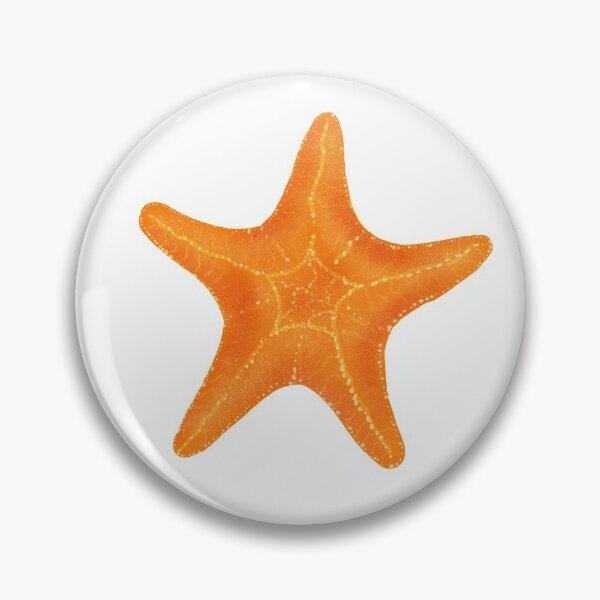 Item preview, Seastar starfish designed and sold by dahoodscientist.