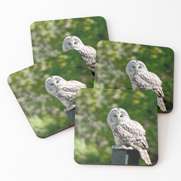 Item preview, Barred Owl designed and sold by Nature's Reflections.