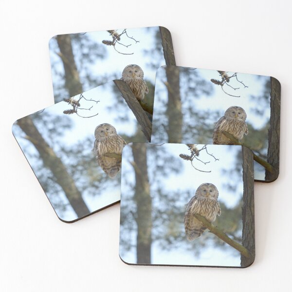 Item preview, Barred Owl 3 designed and sold by Nature's Reflections.