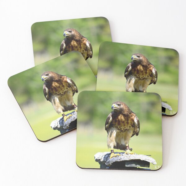 Item preview, Hawk 3 designed and sold by Nature's Reflections.