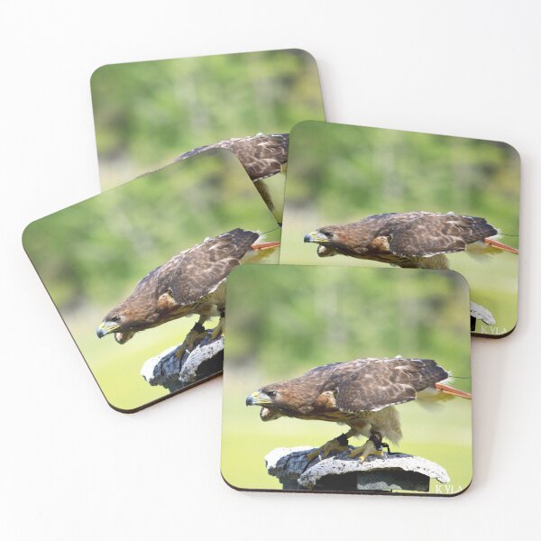 Item preview, Hawk 4 designed and sold by Nature's Reflections.