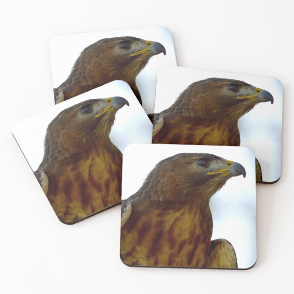 Item preview, Hawk 5 designed and sold by Nature's Reflections.