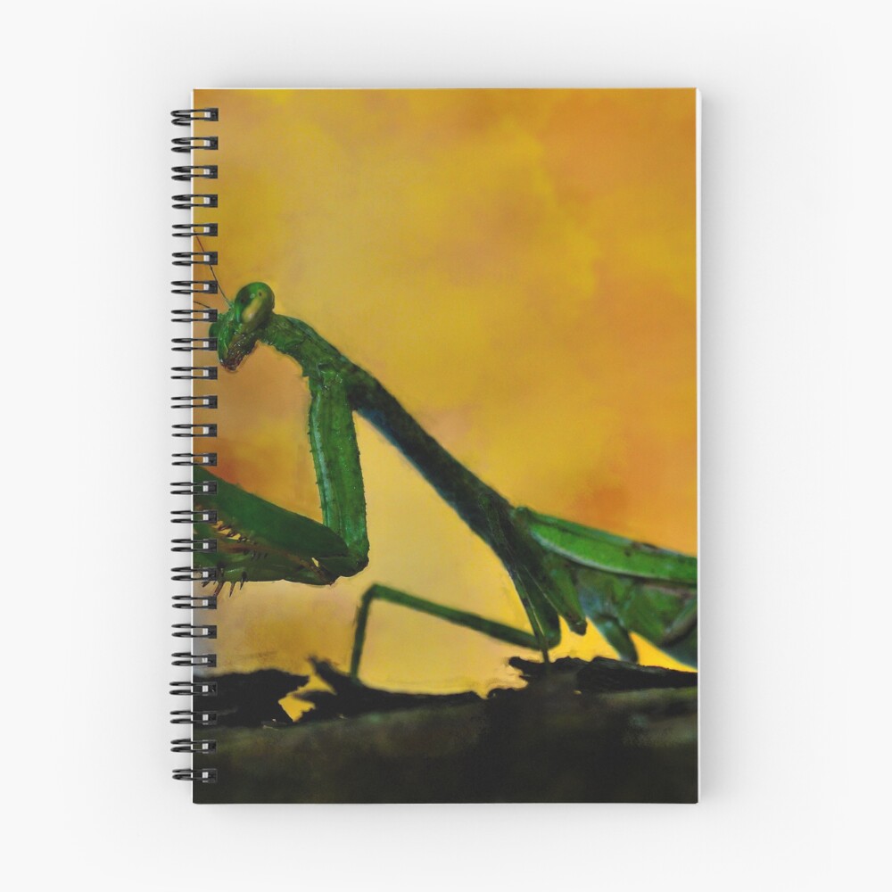 Vista previa del artículo con la obra «Cuaderno de espiral», diseñado y vendido por michaelasamples.