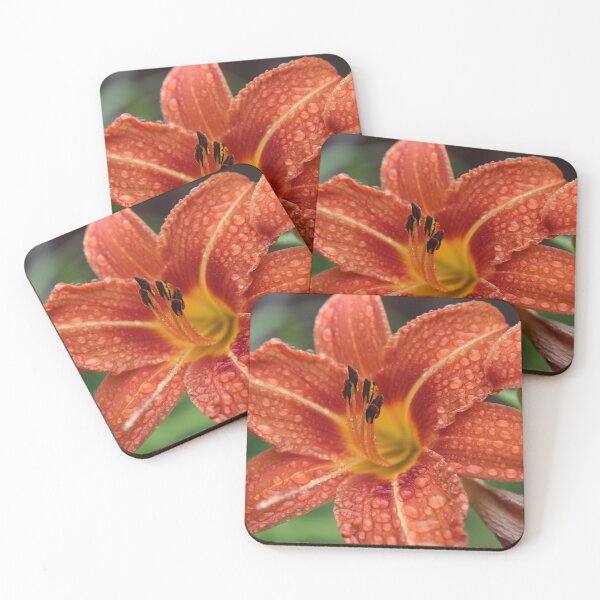 Item preview, Lily in the Rain designed and sold by photosbyastra.