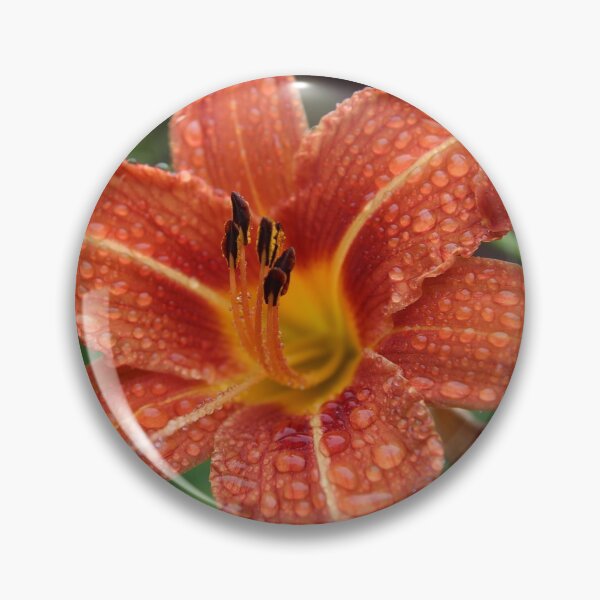 Item preview, Lily in the Rain designed and sold by photosbyastra.