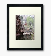 Oak Creek Canyon Framed Print