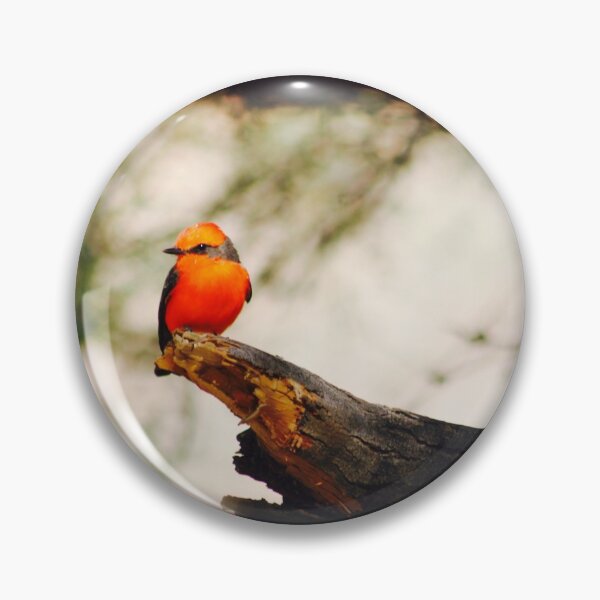 Item preview, Vermilion flycatcher designed and sold by Lynnesboys1.