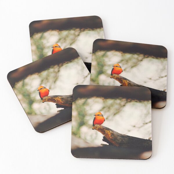 Item preview, Vermilion flycatcher designed and sold by Lynnesboys1.