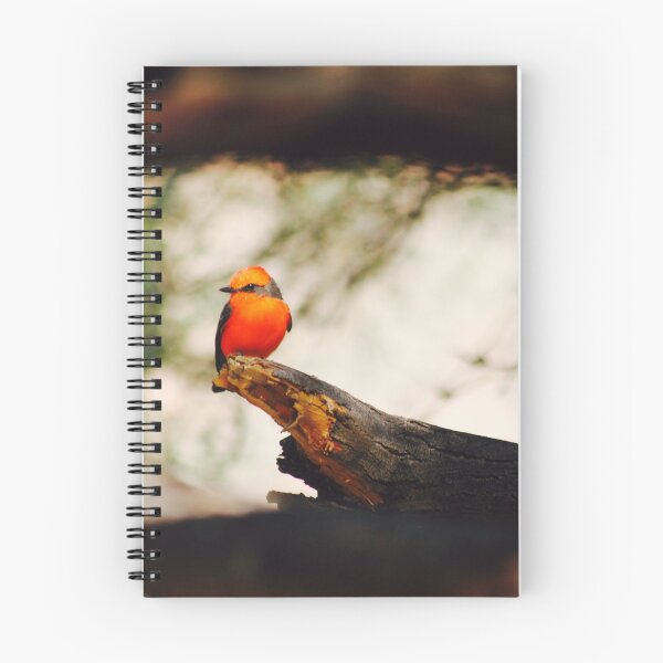 Item preview, Vermilion flycatcher designed and sold by Lynnesboys1.