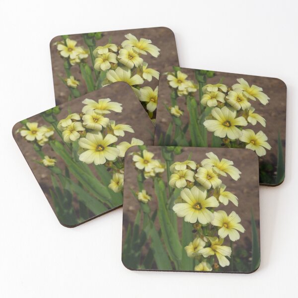 Item preview, Pale Yellow-Eyed Grass - Sisyrinchium Striatum designed and sold by wiggyofipswich.