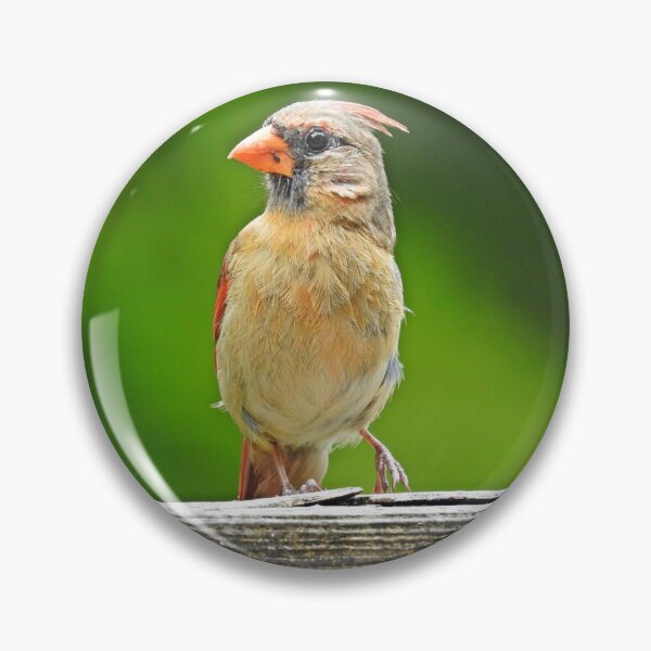 Item preview, Mrs. Cardinal designed and sold by corinthiansgirl.