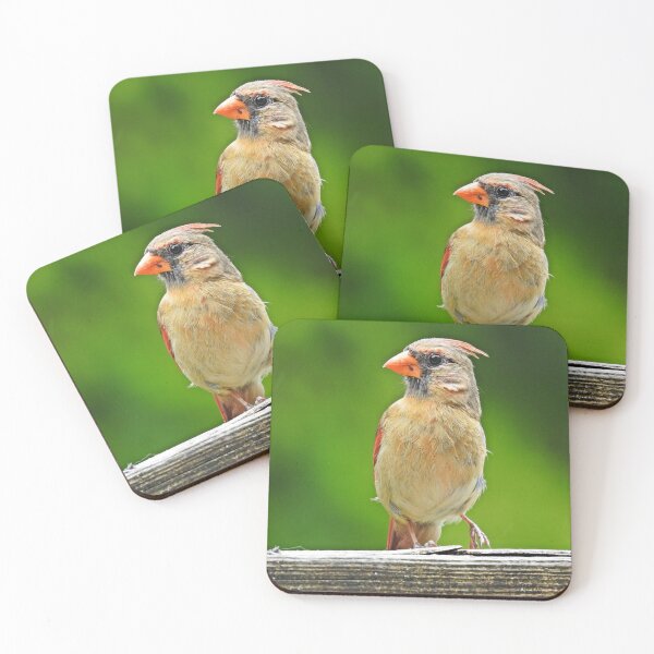 Item preview, Mrs. Cardinal designed and sold by corinthiansgirl.
