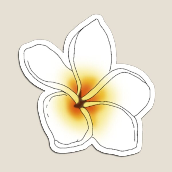 Magnet Boutonniere  Plumeria Botanical Boutique