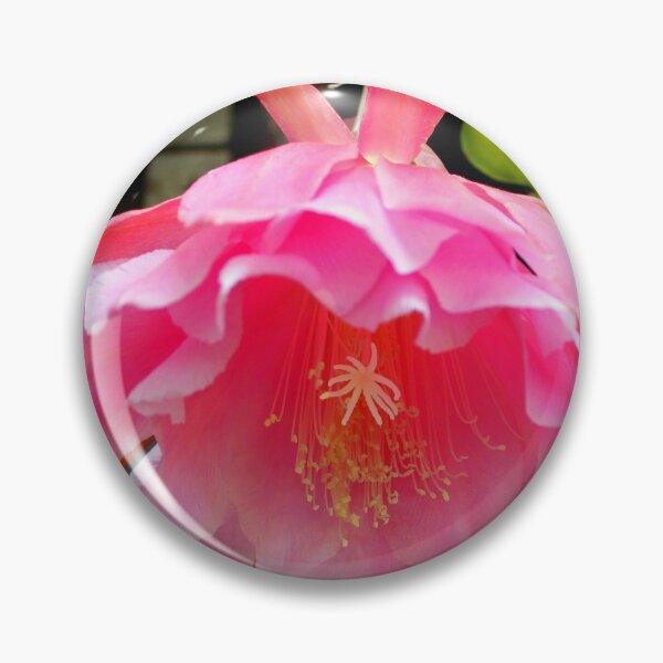 Item preview, Ballerina's Pink Tutu designed and sold by Michael May.