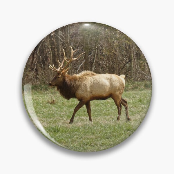 Item preview, Boxley Valley Elk, Ponca, Arkansas designed and sold by DonCondley.