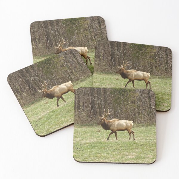 Item preview, Boxley Valley Elk, Ponca, Arkansas designed and sold by DonCondley.