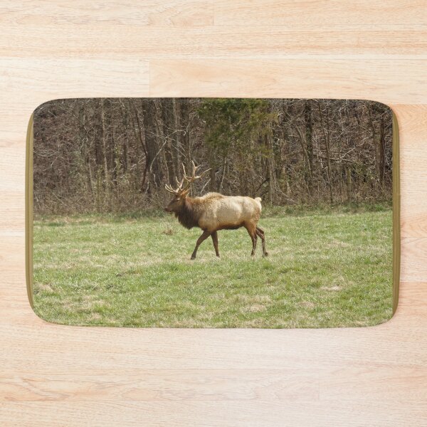 Item preview, Boxley Valley Elk, Ponca, Arkansas designed and sold by DonCondley.