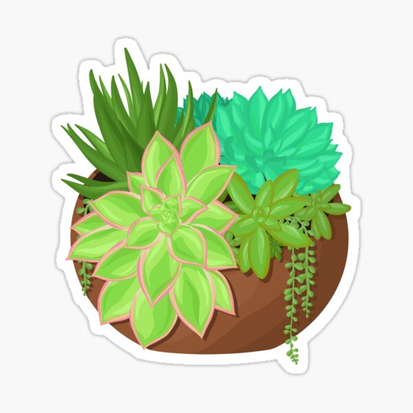Succulent Planter Sticker
