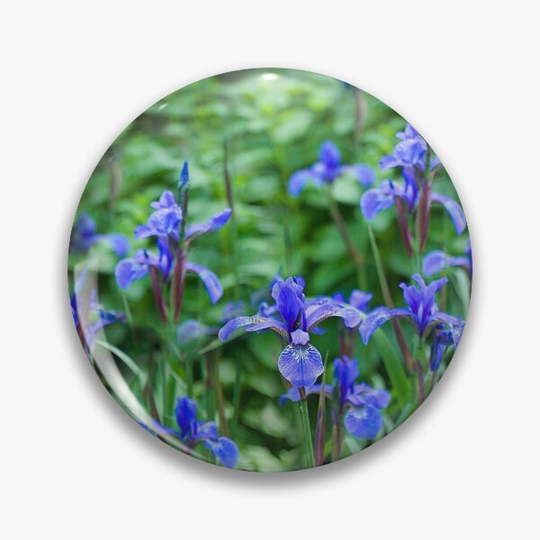 Item preview, Blue Irises  designed and sold by Alisonchambers2.