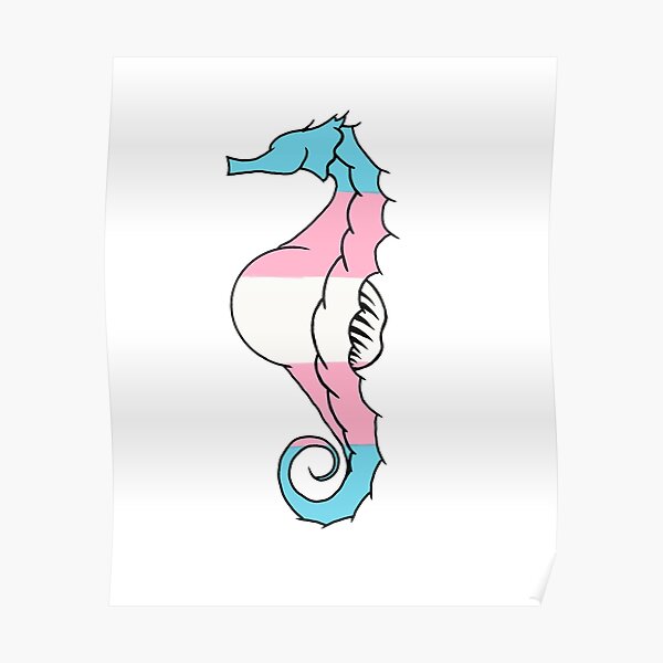 Daddy Seahorse with trans flag colors Poster