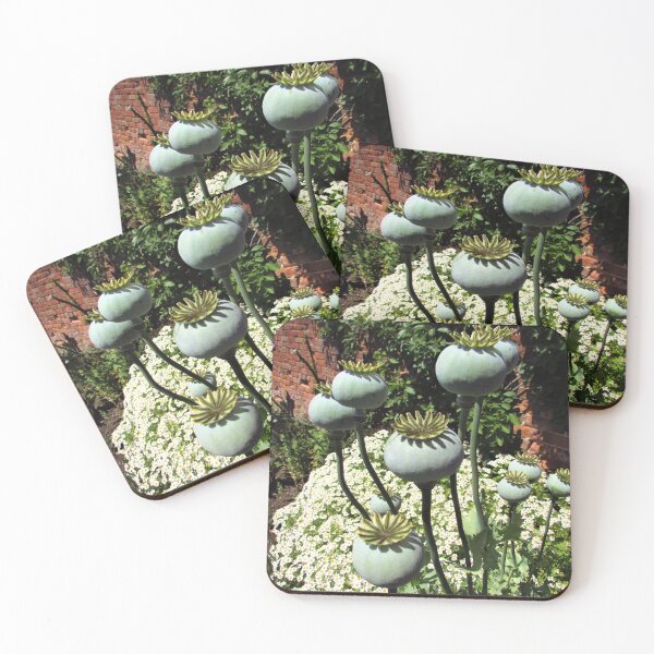 Item preview, Poppy Heads and Feverfew in the Garden designed and sold by GoNatureDesigns.