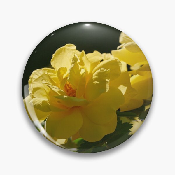 Item preview, The yellow Loiste rose 56 designed and sold by Jouko Lehto Photography.