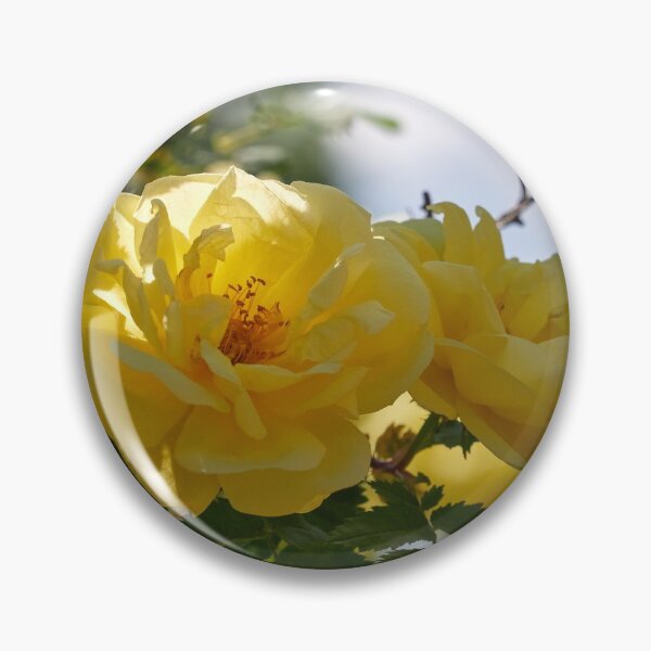 Item preview, The yellow Loiste rose 59 designed and sold by Jouko Lehto Photography.