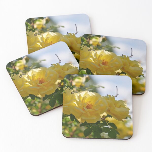 Item preview, The yellow Loiste rose 59 designed and sold by Jouko Lehto Photography.