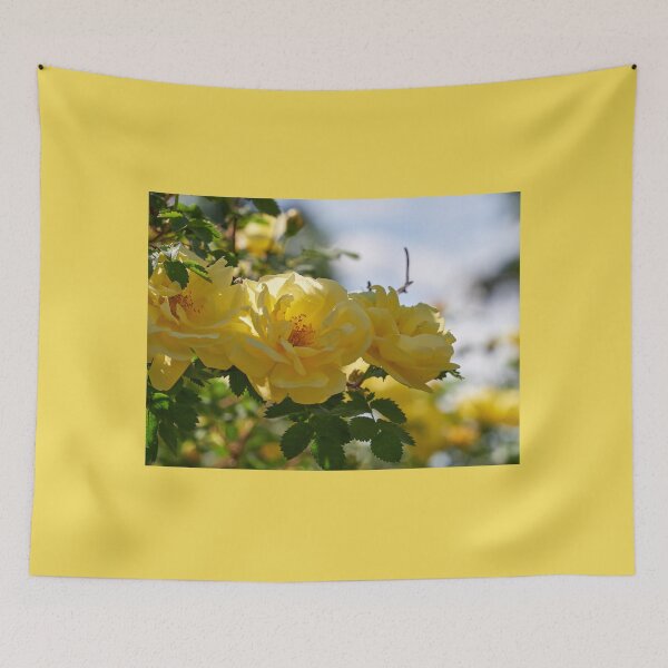 Item preview, The yellow Loiste rose 59 designed and sold by Jouko Lehto Photography.