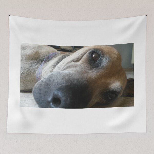 Item preview, Pets designed and sold by Mariajose  Rojo.